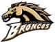 western-michigan-logo