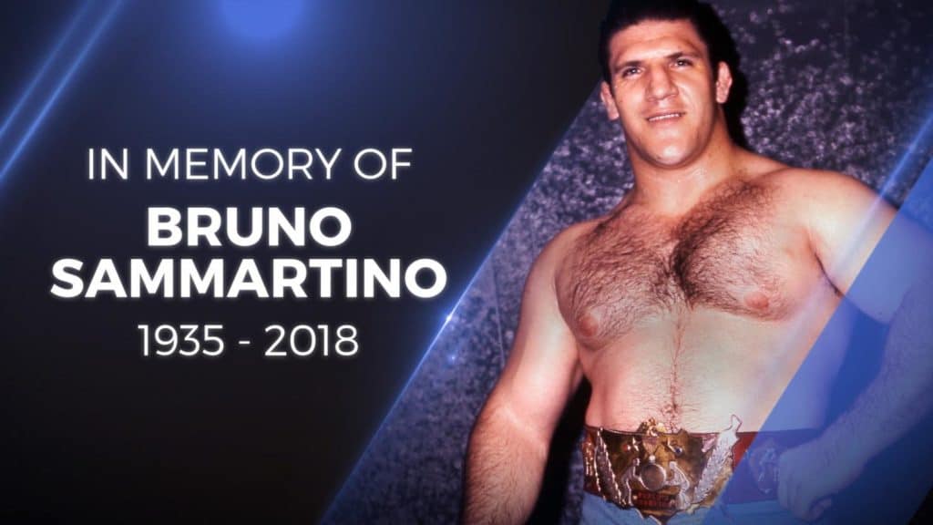 Bruno Sammartino Passing