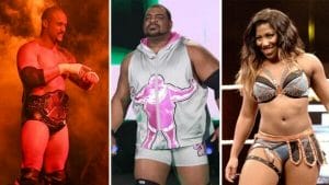 WWE Releases More Wrestlers